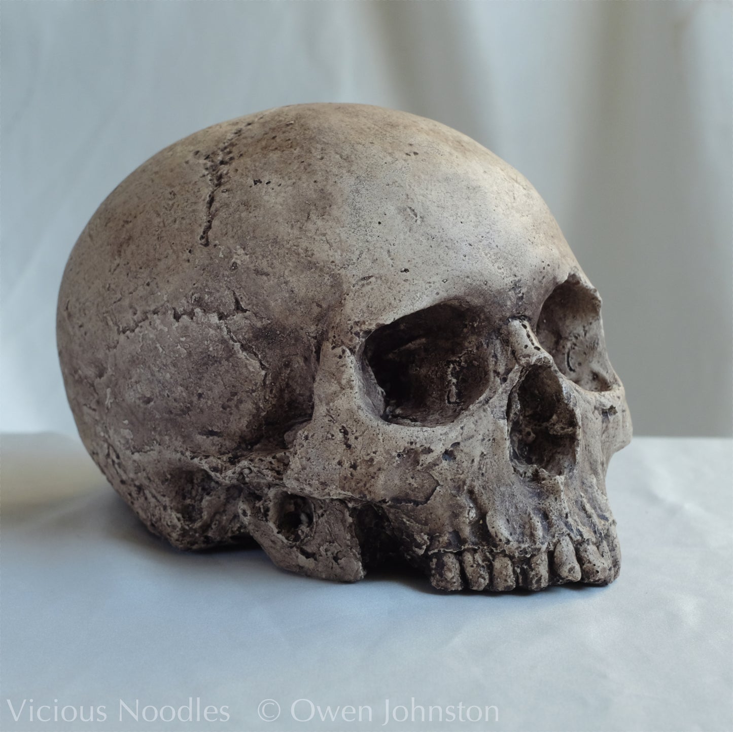 Human skull replica, highly weathered natural finish