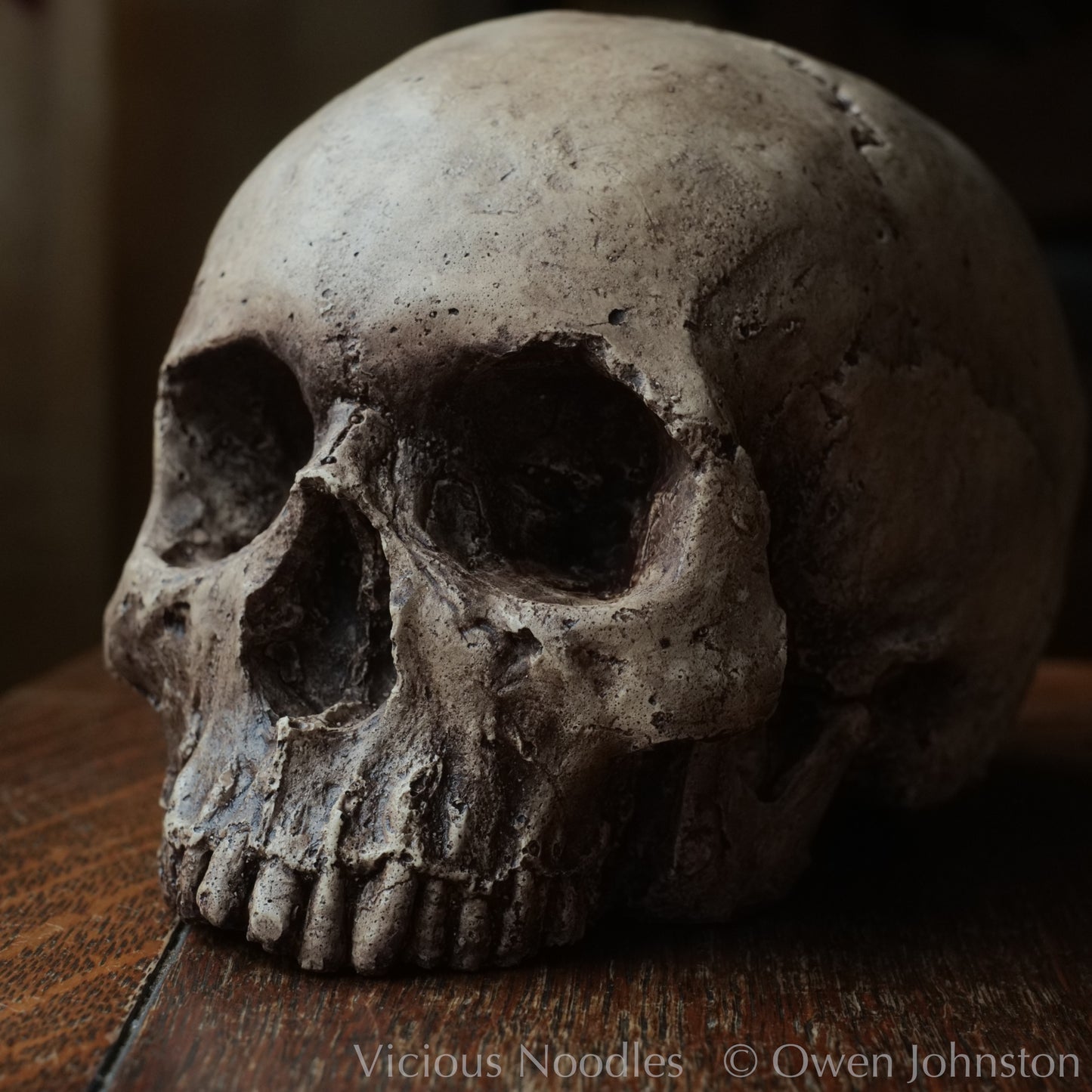 Human skull replica, highly weathered natural finish