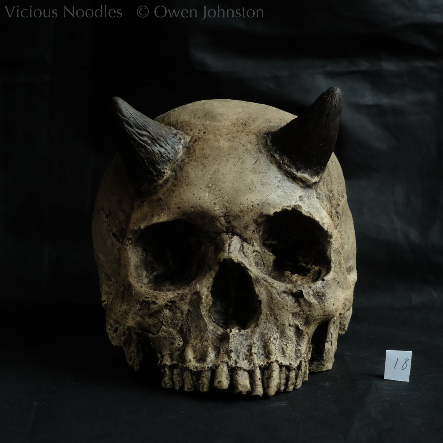 Human skull replica with short horns, life size, without lower jaw. Warm ivory colour with dark weathering.