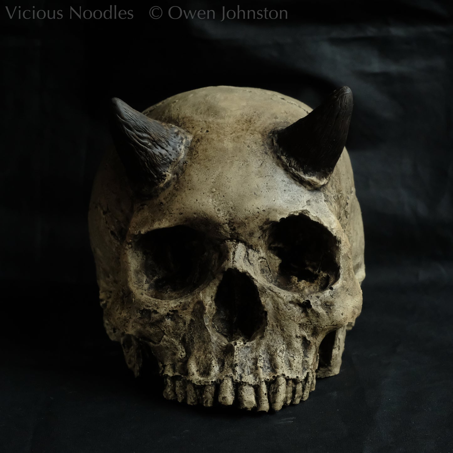 Human skull replica with short horns, life size, without lower jaw. Warm ivory colour with dark weathering.