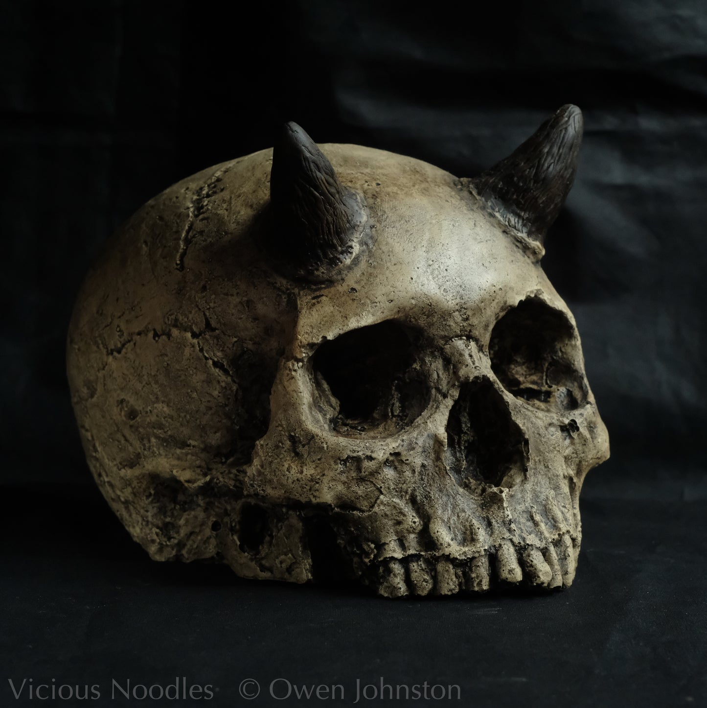 Human skull replica with short horns, life size, without lower jaw. Warm ivory colour with dark weathering.