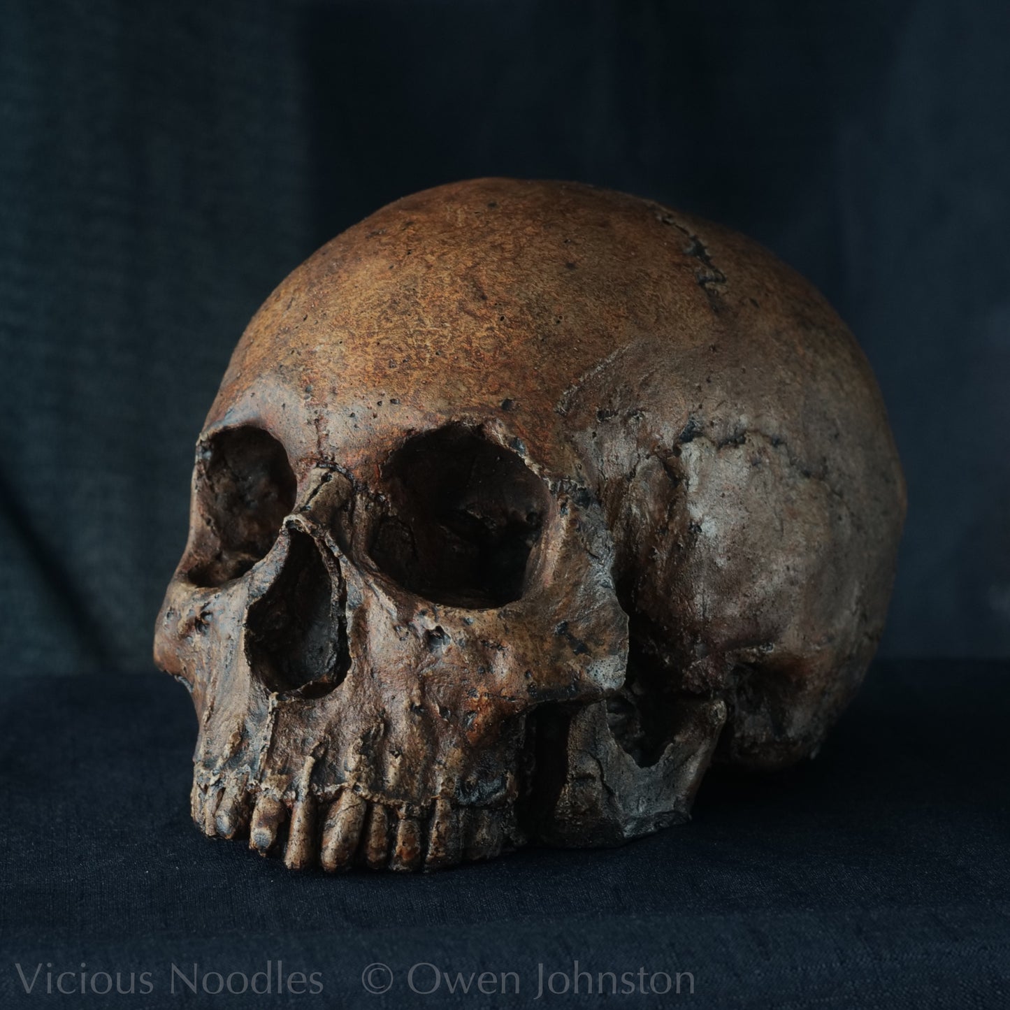 Human skull replica, fossil finish, dark reddish brown