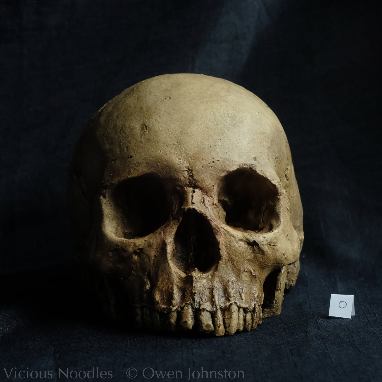 Human skull replica without jaw, life size, warm yellow ivory bone colour with dark weathering, finished with lacquer.