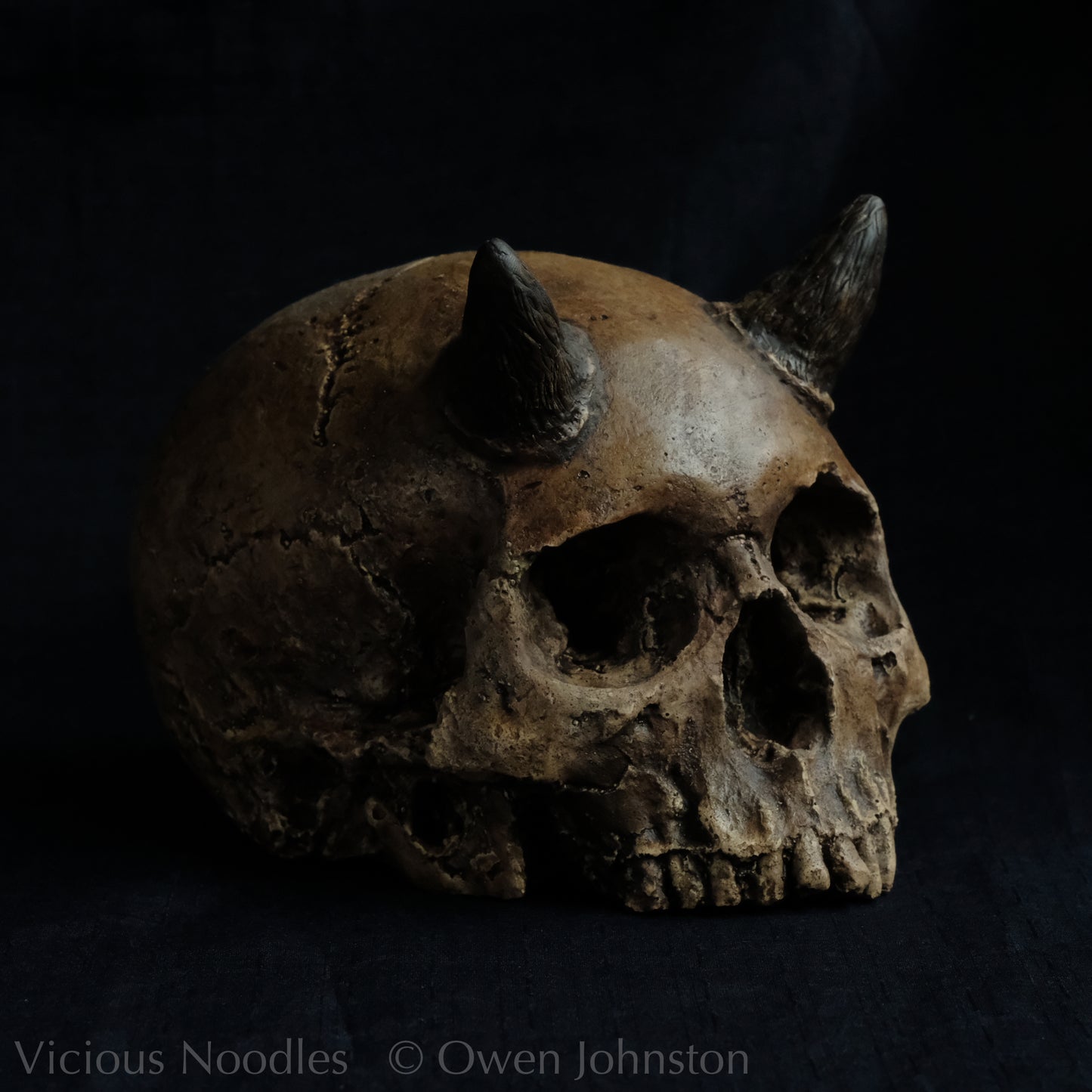 Human skull replica with short horns, life size, without lower jaw. Highly weathered brown finish.