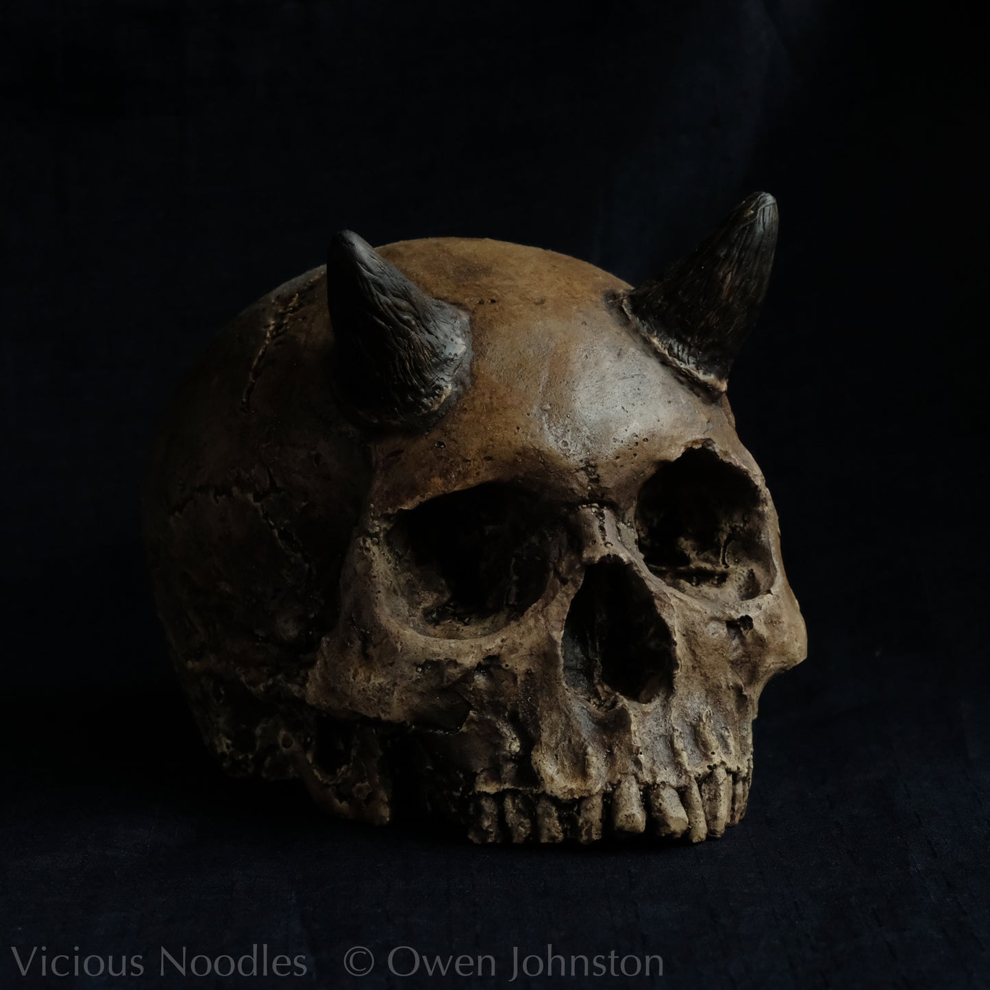 Human skull replica with short horns, life size, without lower jaw. Highly weathered brown finish.