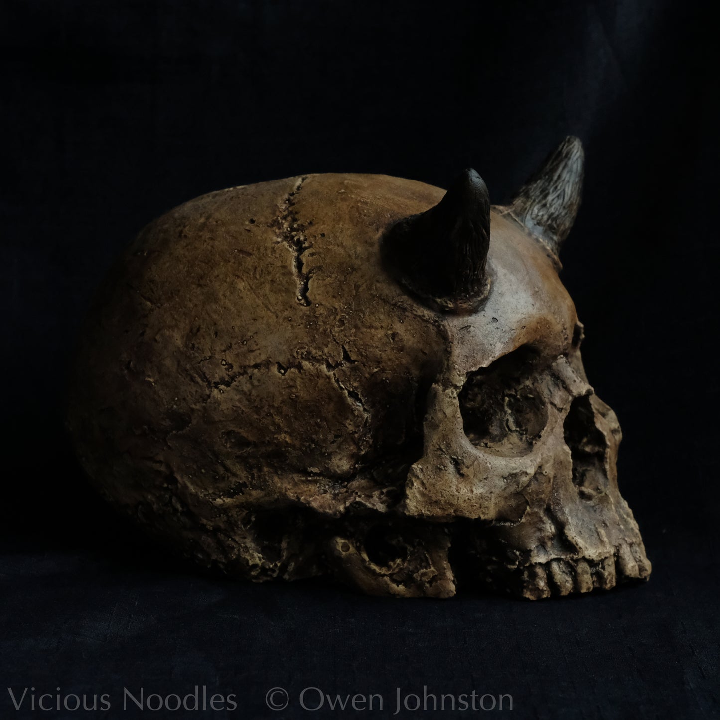 Human skull replica with short horns, life size, without lower jaw. Highly weathered brown finish.