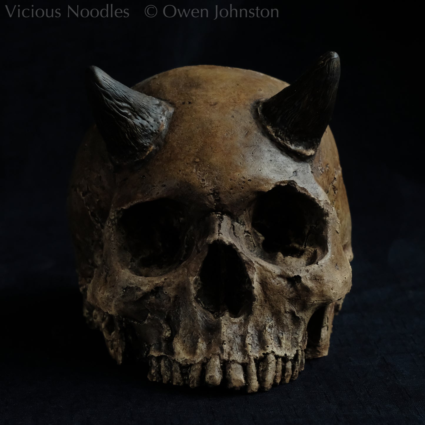 Human skull replica with short horns, life size, without lower jaw. Highly weathered brown finish.