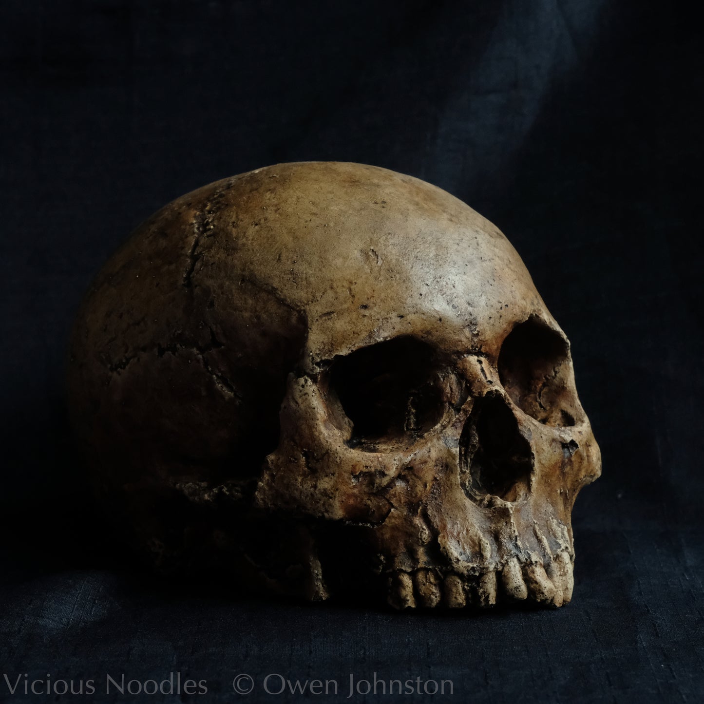 Human skull replica without jaw, life size, looks like a highly weathered antique skull. The colour is a warm, mid dark brown, finished with lacquer.
