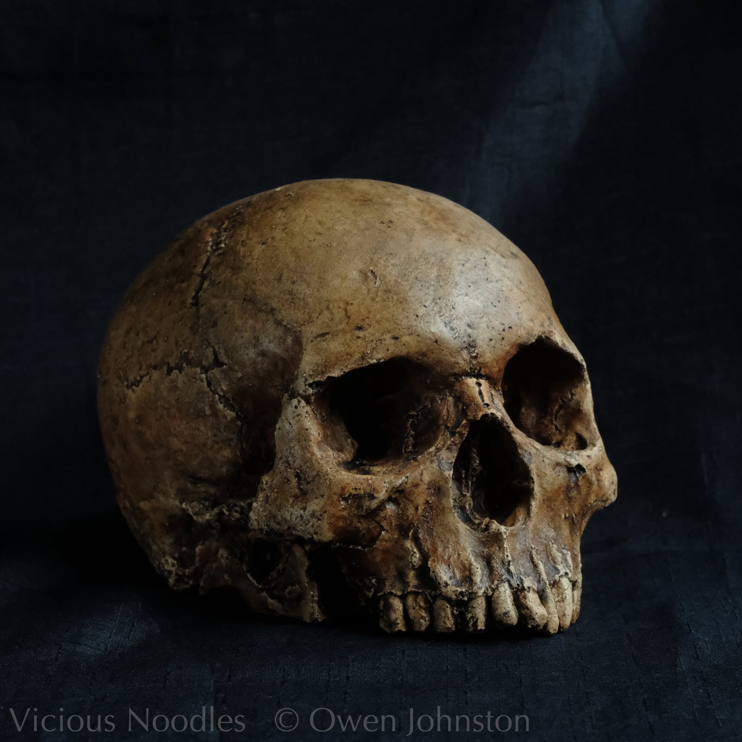 Human skull replica without jaw, life size, looks like a highly weathered antique skull. The colour is a warm, mid dark brown, finished with lacquer.