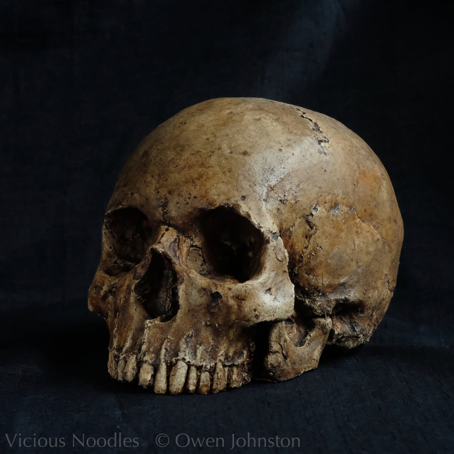 Human skull replica without jaw, life size, looks like a highly weathered antique skull. The colour is a warm, mid dark brown, finished with lacquer.