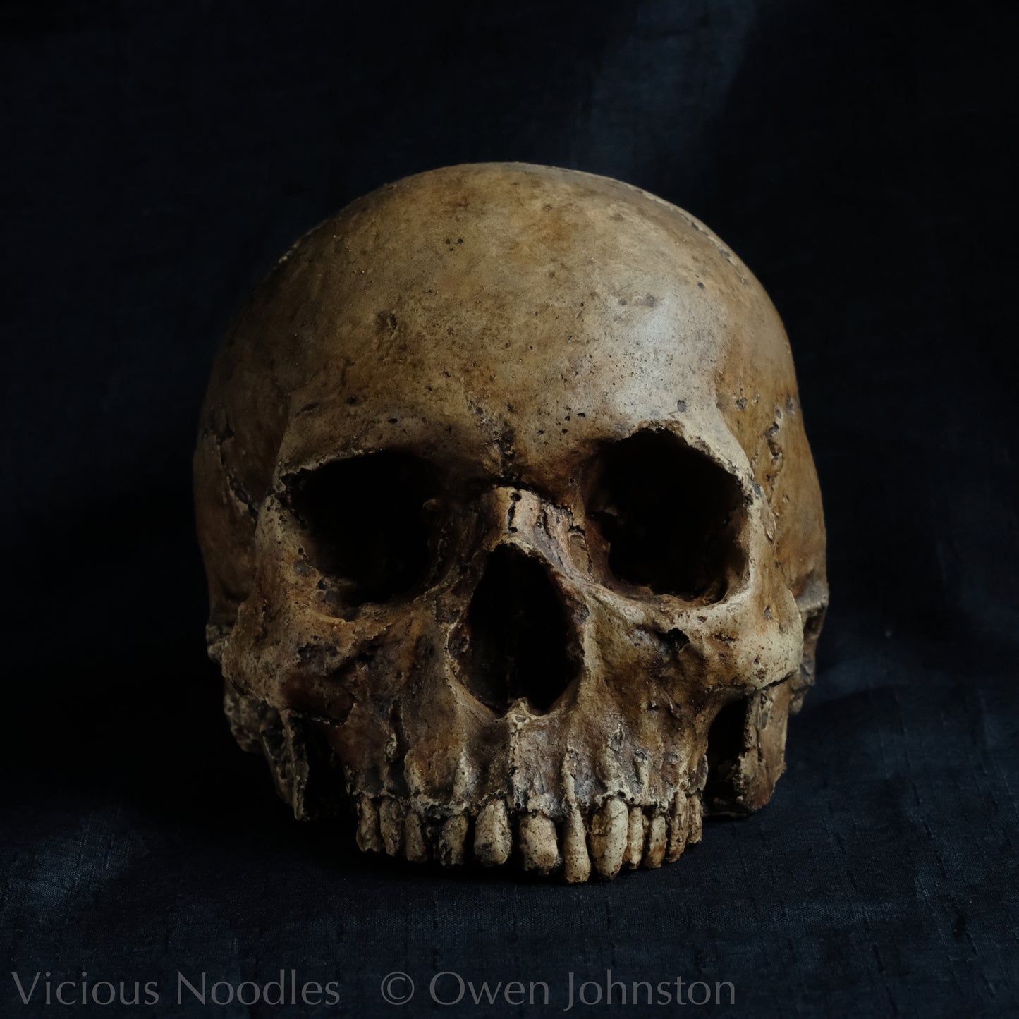 Human skull replica without jaw, life size, looks like a highly weathered antique skull. The colour is a warm, mid dark brown, finished with lacquer.