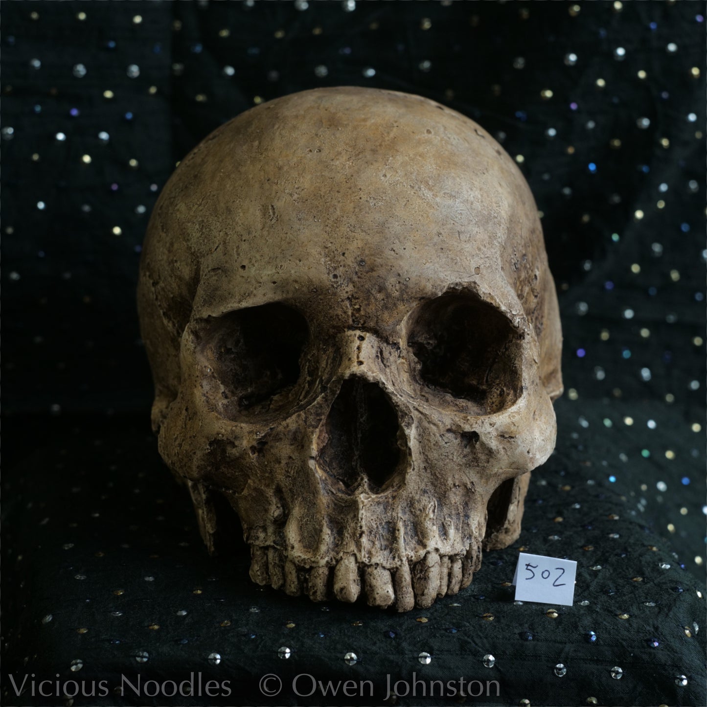 Human skull replica, highly weathered natural finish