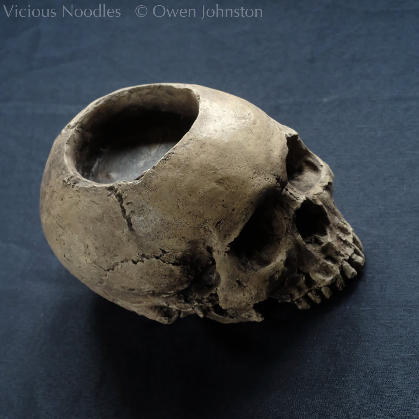 Human skull candle holder, without lower jaw, life size. It has a shallow hole on the top for a wide candle and is painted for a natural weathered look.