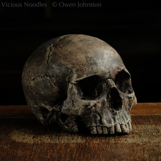 Life size human skull replica without jaw made to look like an ancient fossil, colour is various shades of brown and some areas are lightly distressed. Finished with lacquer.