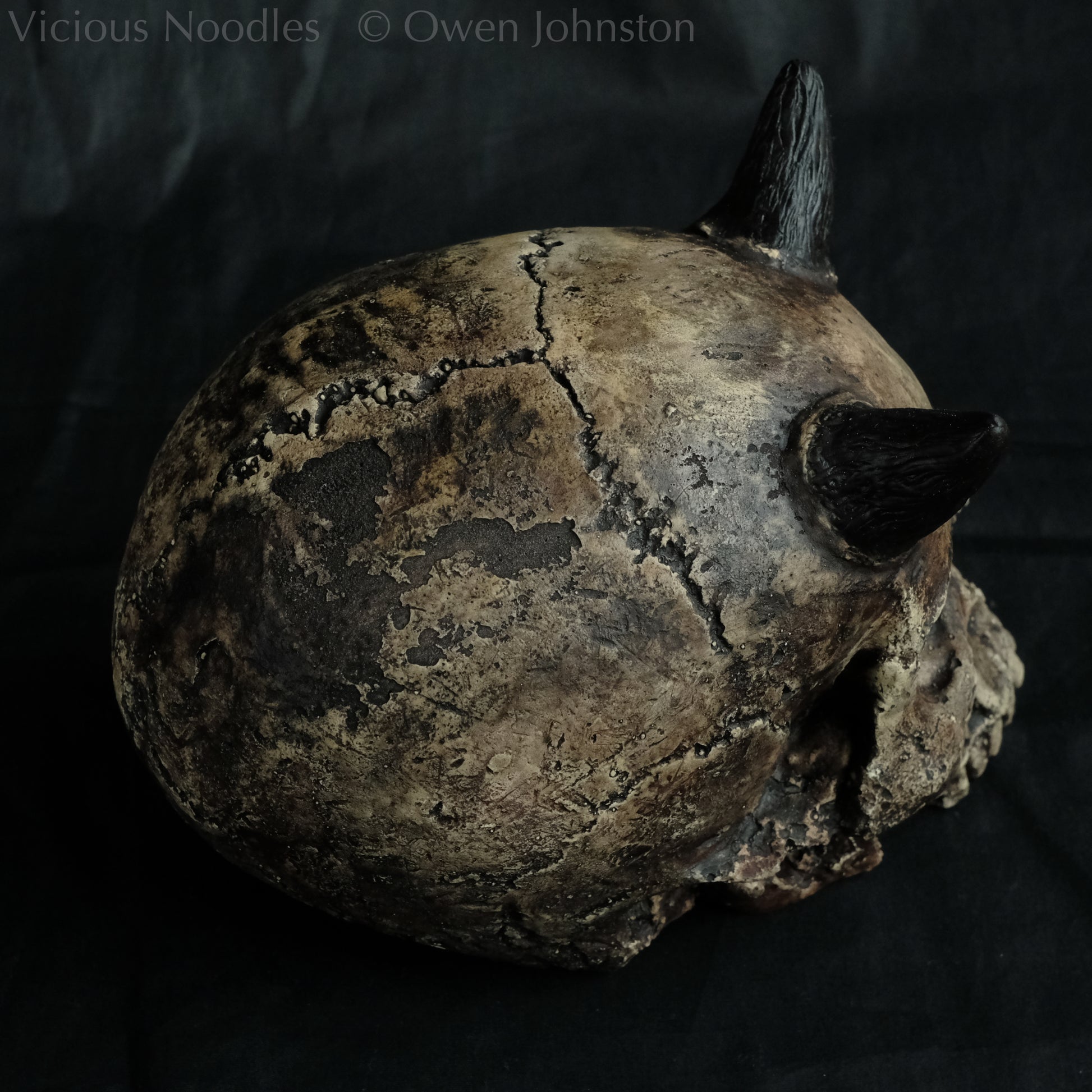 Human skull replica with short horns, life size, without lower jaw. Very weathered fossilised appearance with dark brown and black weathering over a warm ivory bone colour. The surface is damaged and distressed.