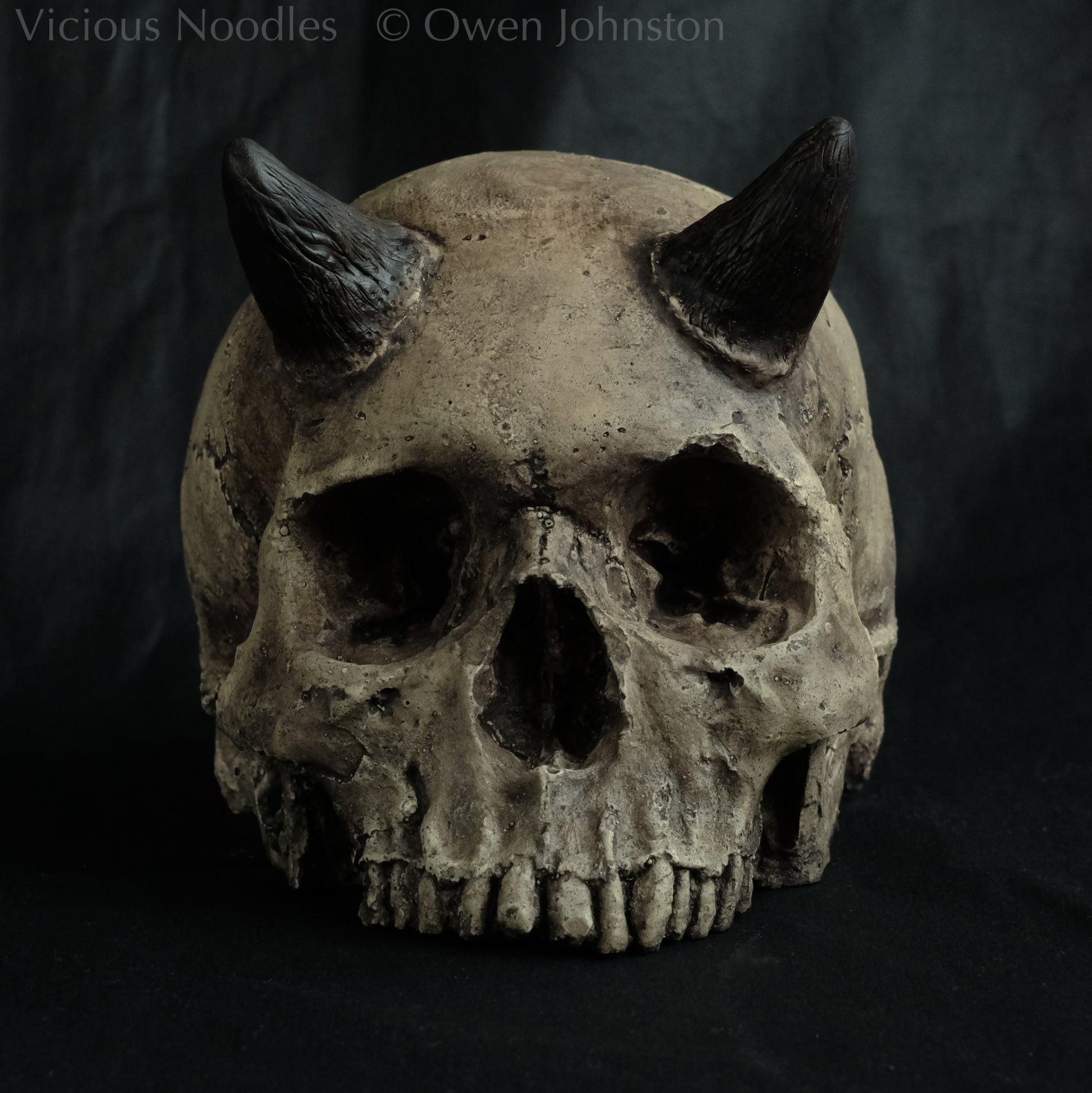 Horned human skull replica without jaw, life size, warm ivory bone colour with dark weathering, finished with lacquer.
