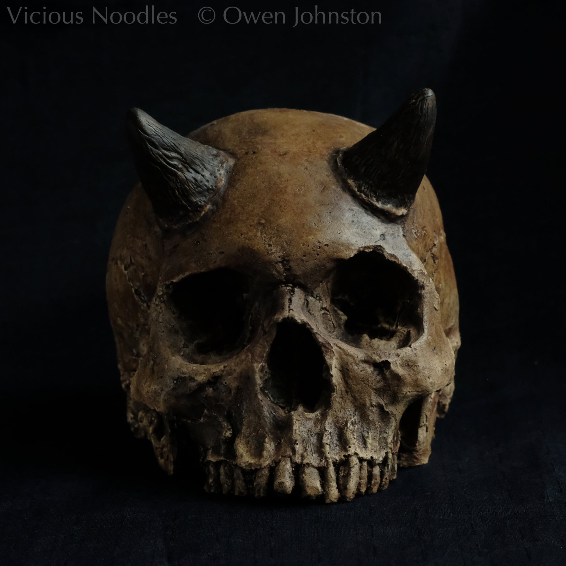 Human skull replica with short horns, life size, without lower jaw. Highly weathered brown finish.