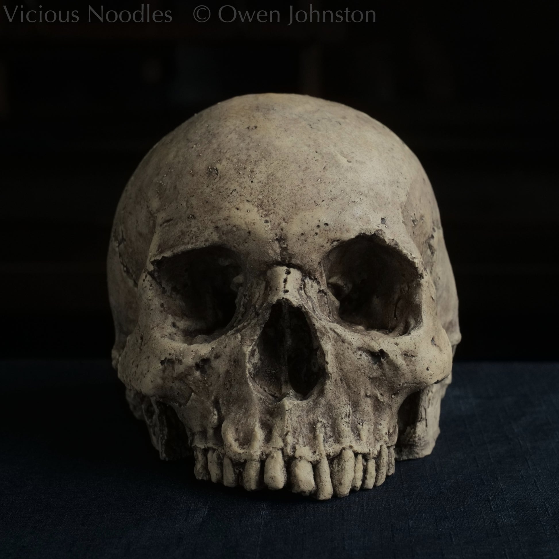 Human skull replica without jaw, life size, warm ivory bone colour with dark weathering, finished with lacquer.
