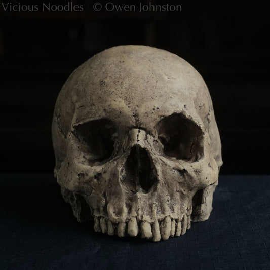 Human skull replica without jaw, life size, warm ivory bone colour with dark weathering, finished with lacquer.
