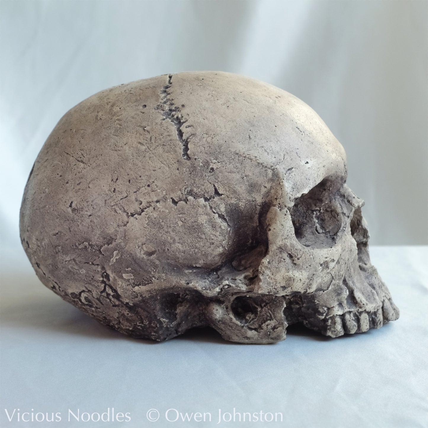 Human skull replica, lightly weathered natural finish