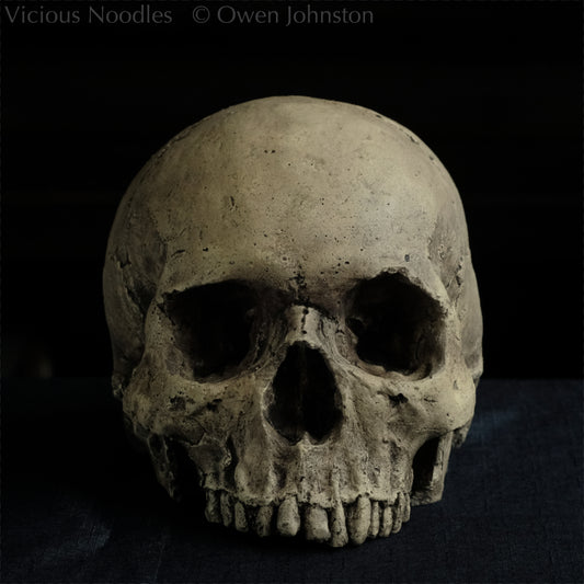 Human skull replica without jaw, life size, warm ivory bone colour with dark weathering, finished with lacquer.
