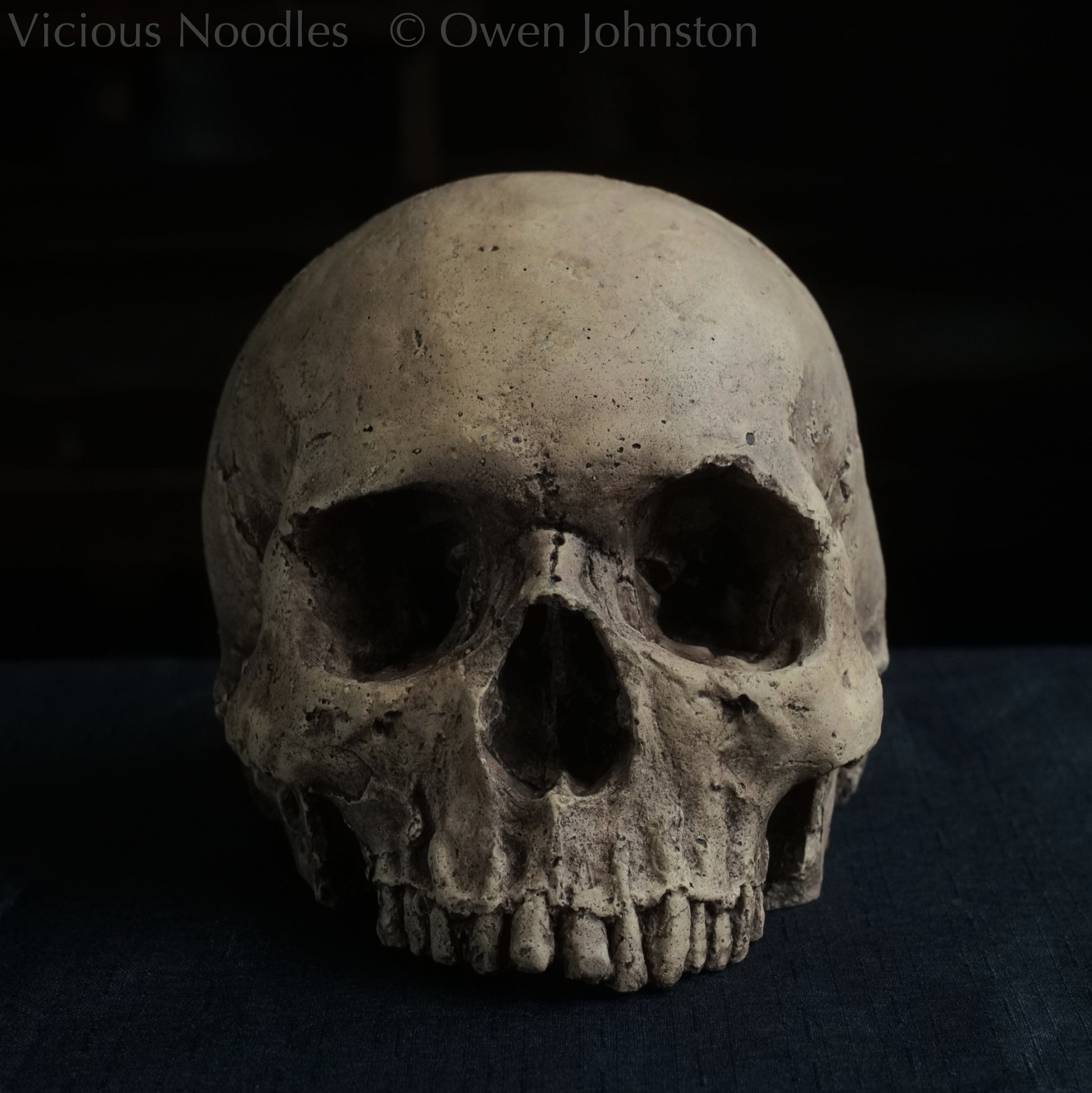 Human skull replica without jaw, life size, warm ivory bone colour with dark weathering, finished with lacquer.