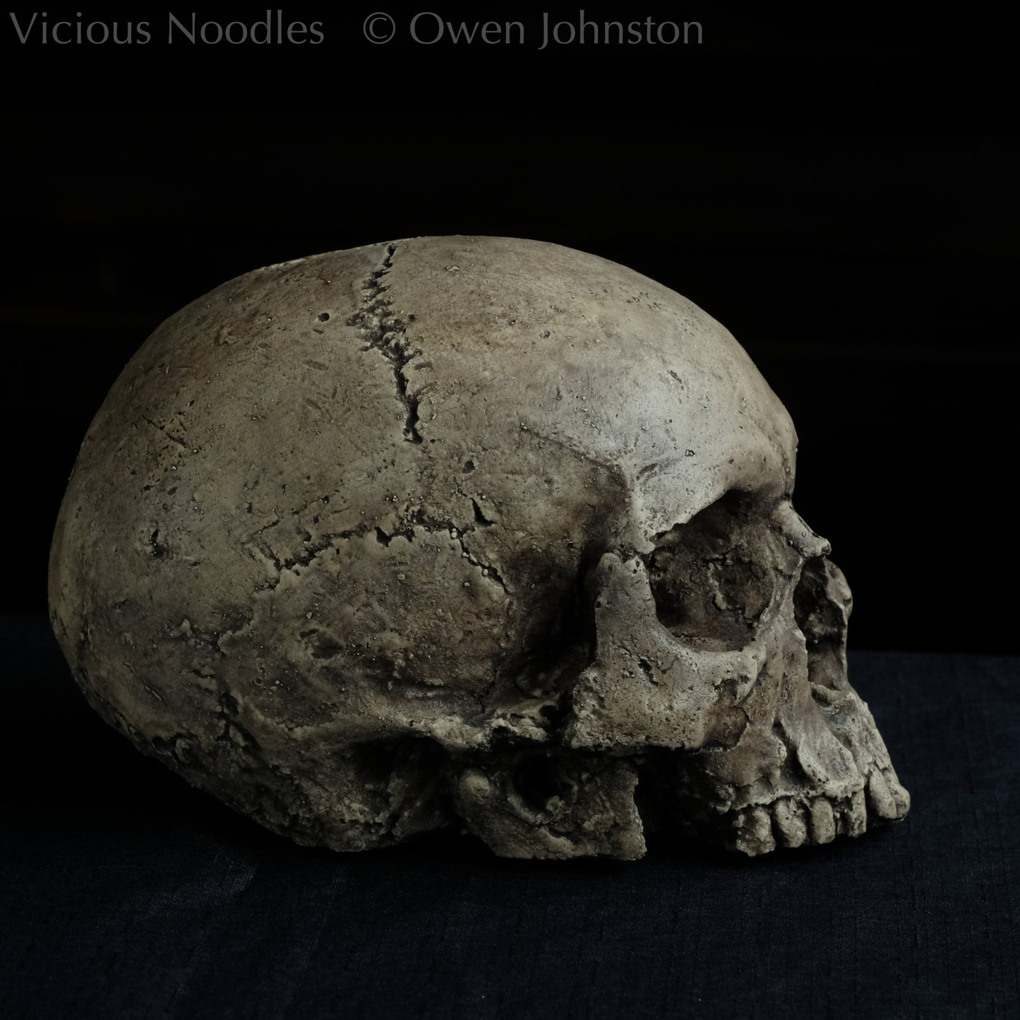 Human skull replica without jaw, life size, warm ivory bone colour with dark weathering, finished with lacquer.
