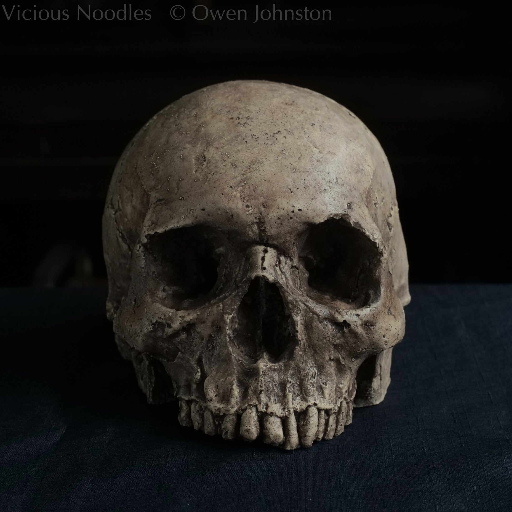 Human skull replica without jaw, life size, warm ivory bone colour with dark weathering, finished with lacquer.