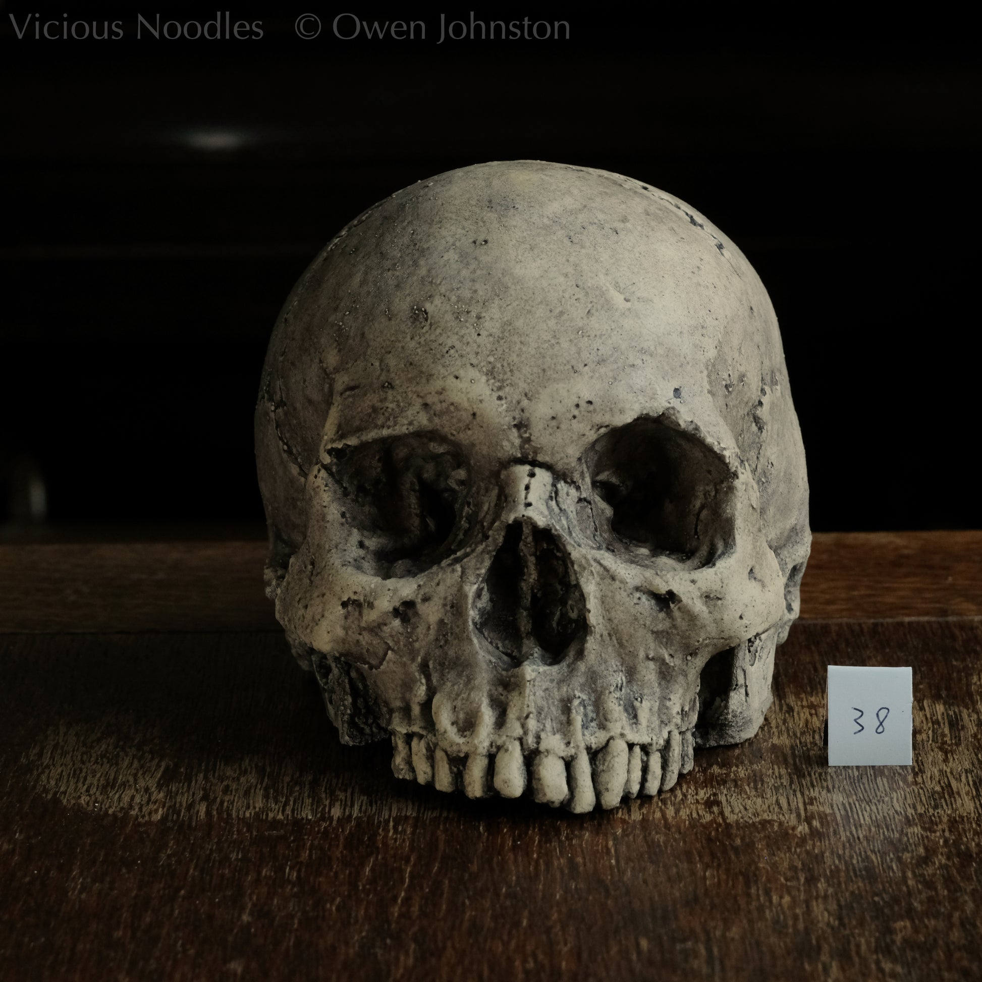 Human skull replica without jaw, life size, warm ivory bone colour with dark weathering, finished with lacquer.