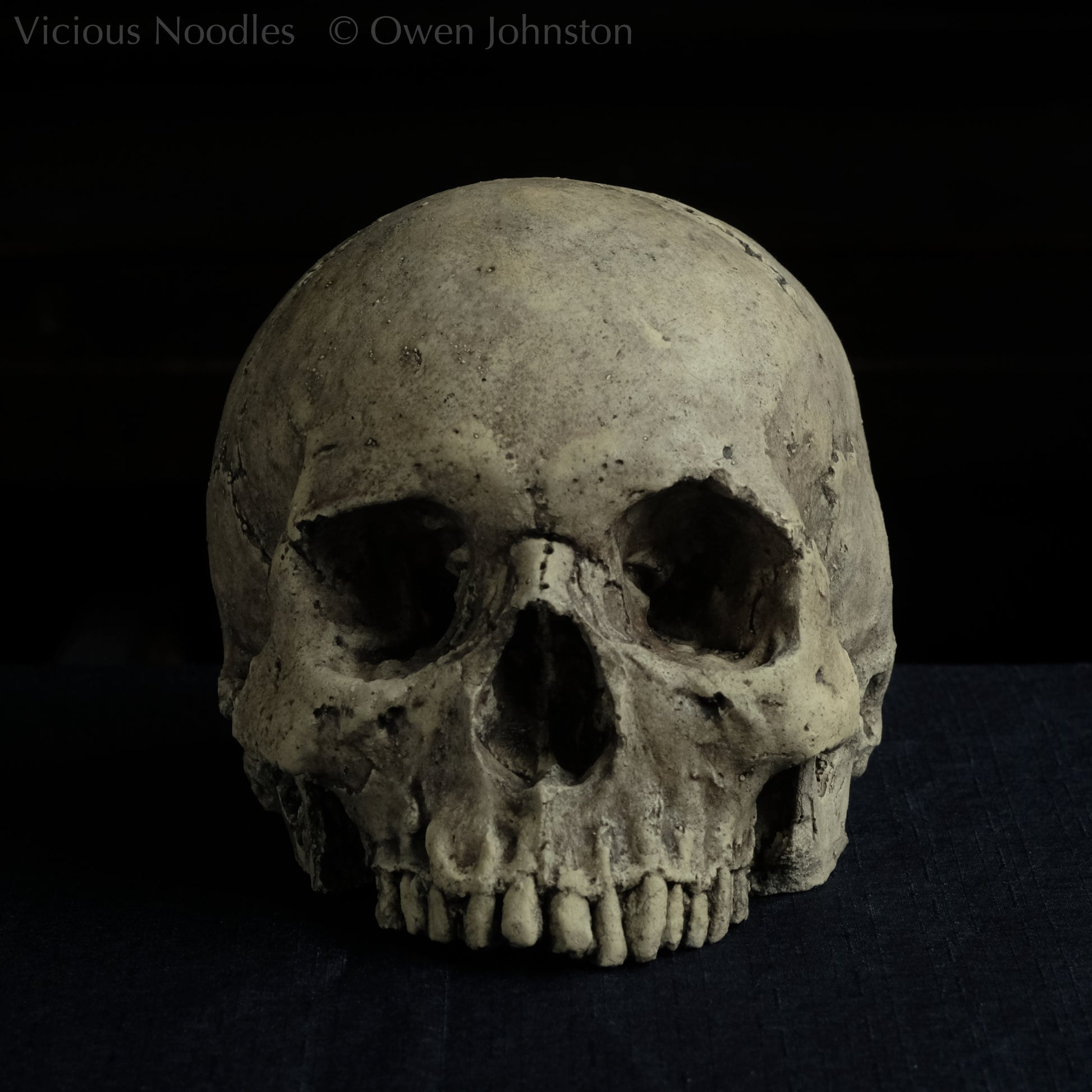 Human skull replica without jaw, life size, warm ivory bone colour with dark weathering, finished with lacquer.