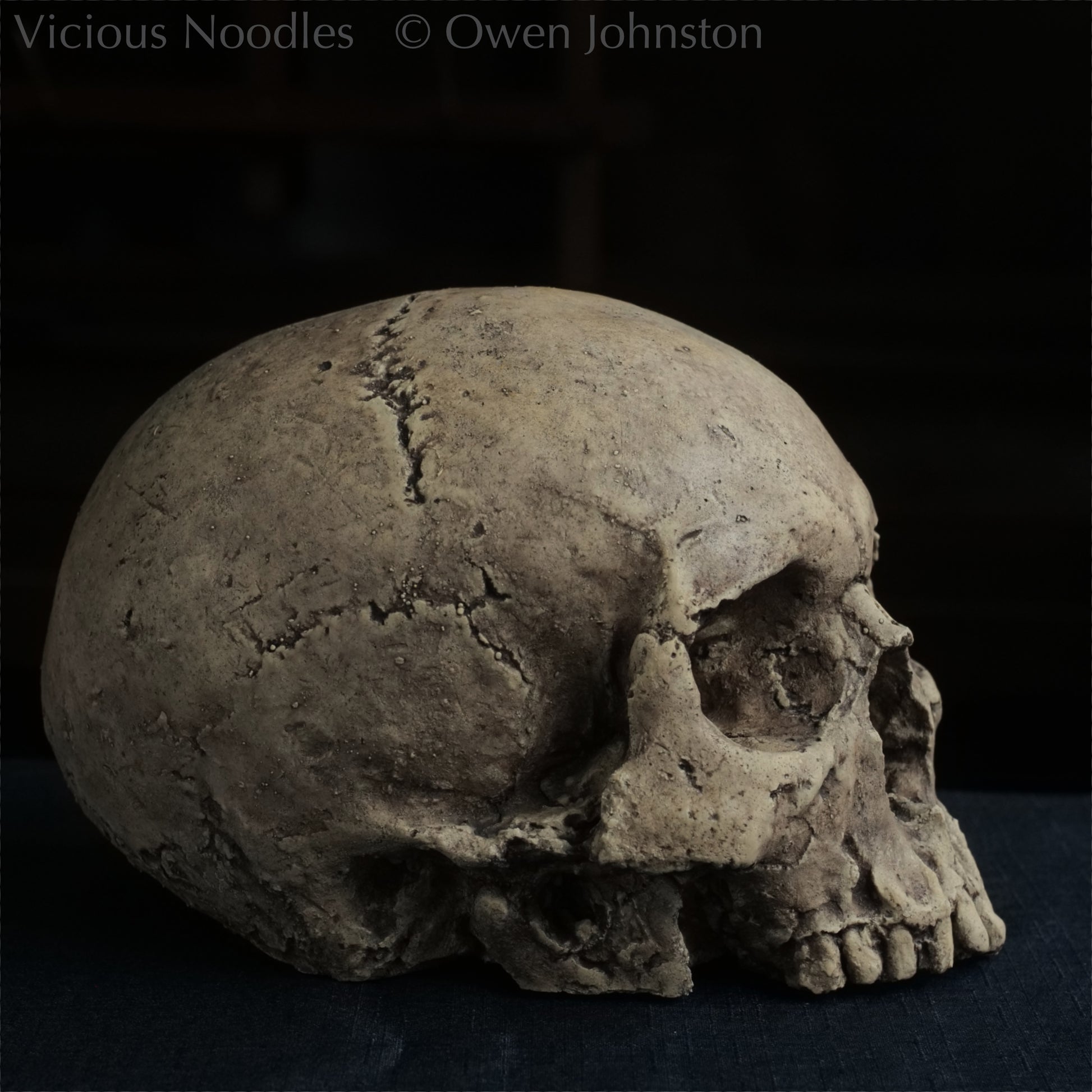 Human skull replica without jaw, life size, warm ivory bone colour with dark weathering, finished with lacquer.
