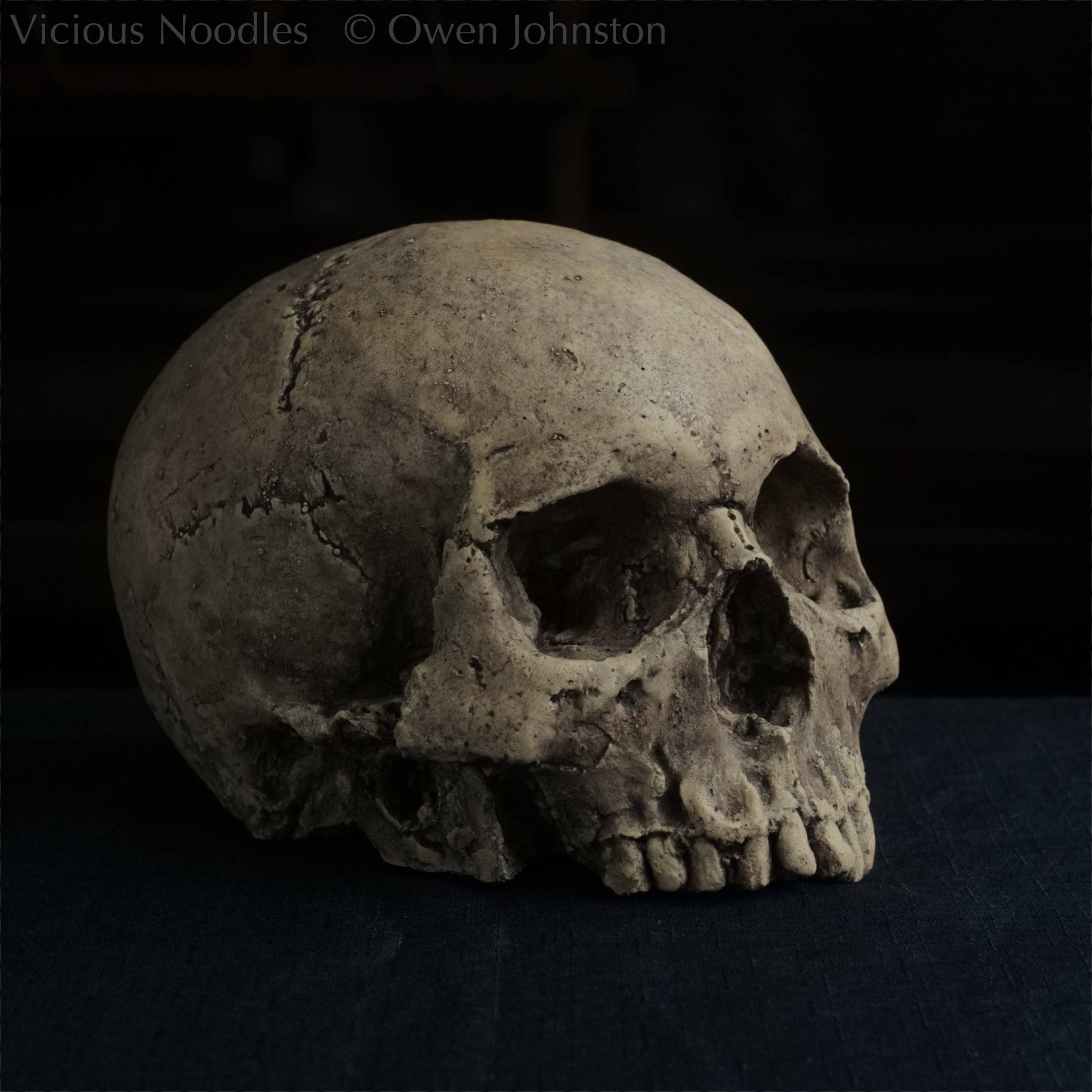 Human skull replica without jaw, life size, warm ivory bone colour with dark weathering, finished with lacquer.
