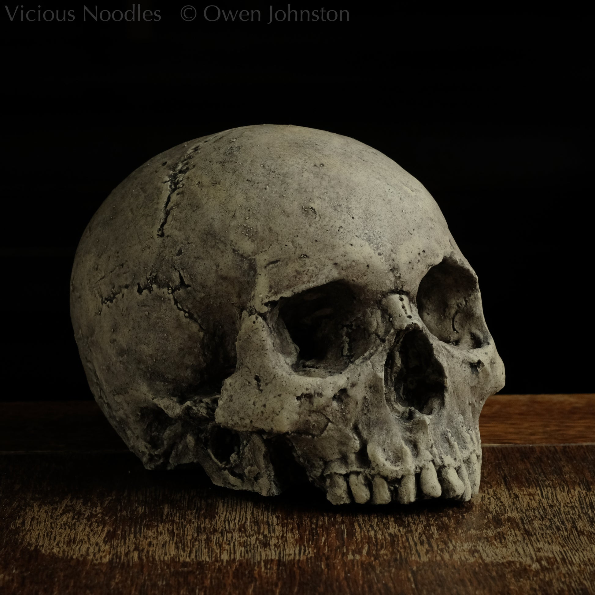 Human skull replica without jaw, life size, warm ivory bone colour with dark weathering, finished with lacquer.