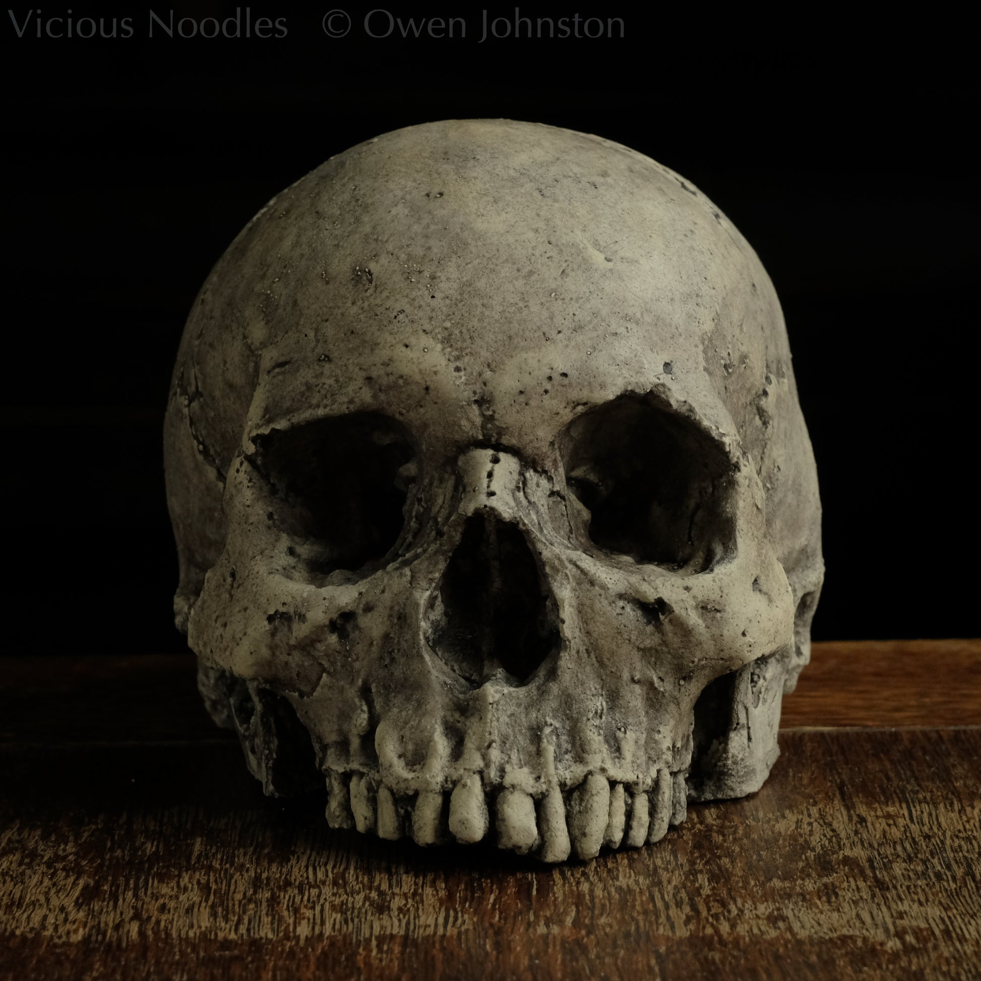 Human skull replica without jaw, life size, warm ivory bone colour with dark weathering, finished with lacquer.