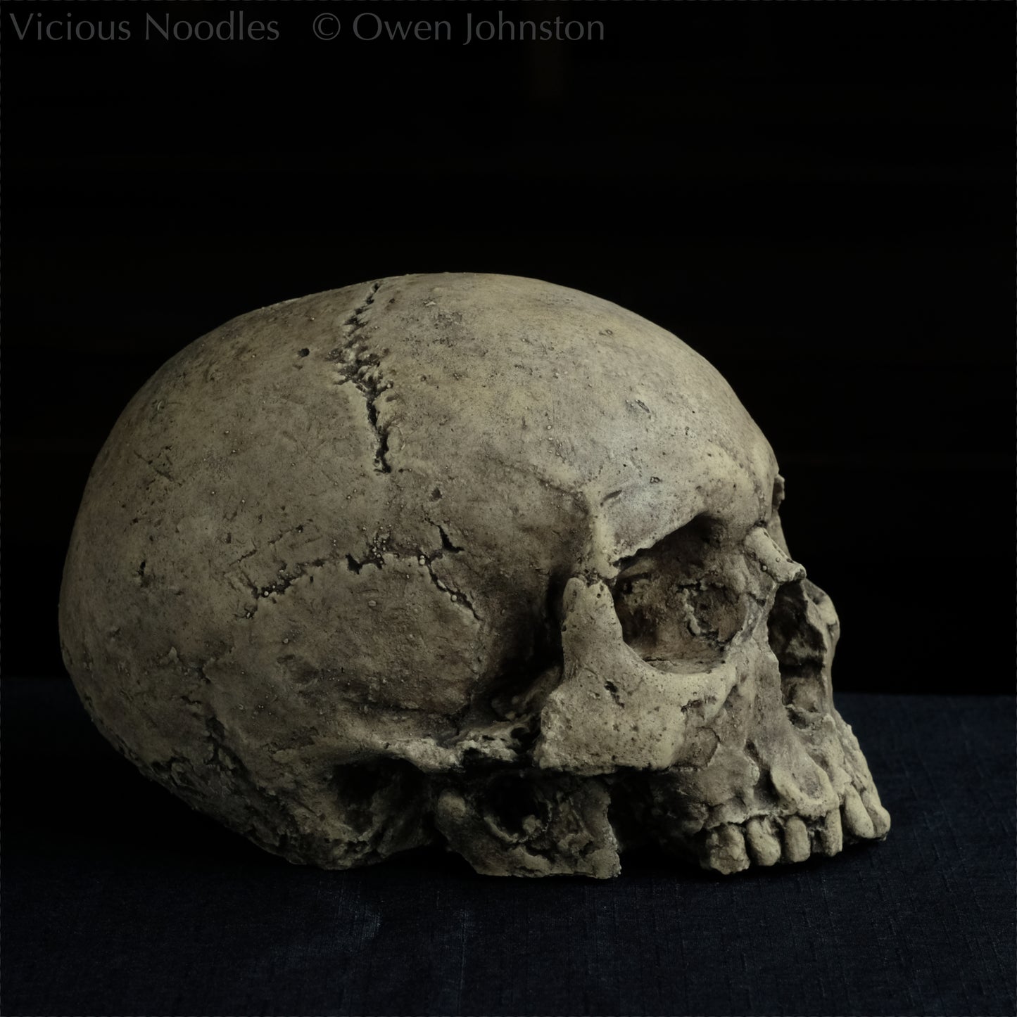 Human skull replica without jaw, life size, warm ivory bone colour with dark weathering, finished with lacquer.
