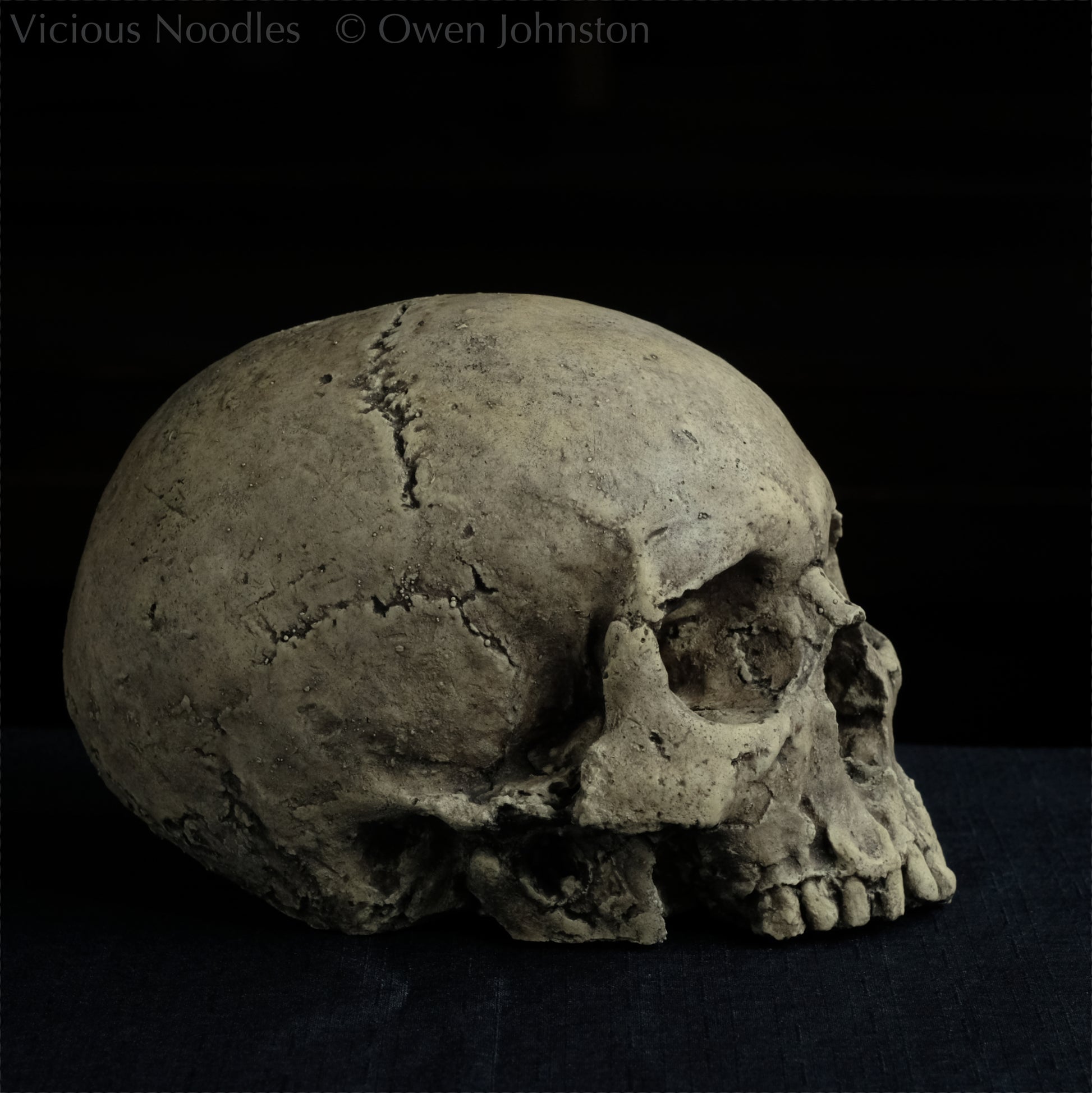 Human skull replica without jaw, life size, warm ivory bone colour with dark weathering, finished with lacquer.
