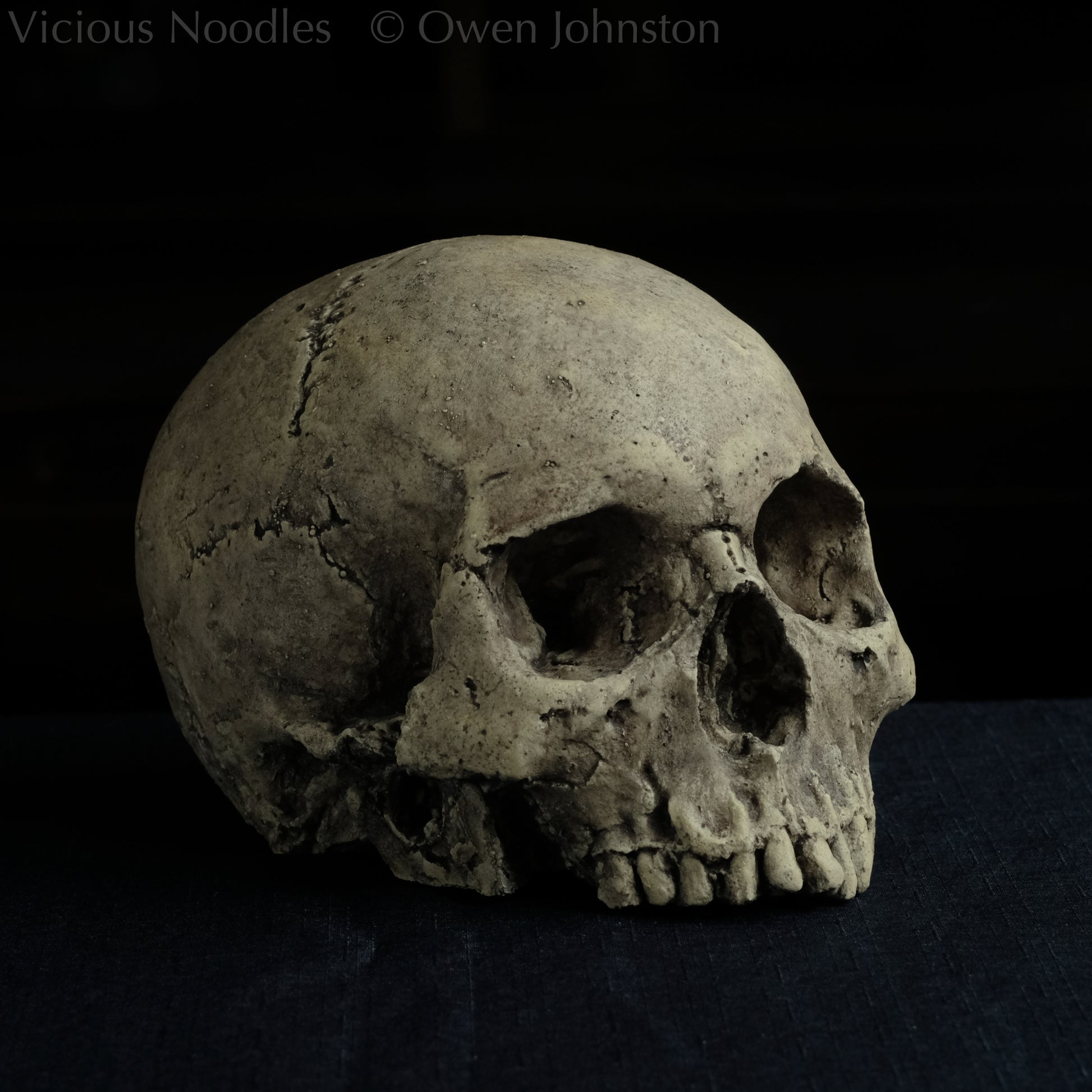 Human skull replica without jaw, life size, warm ivory bone colour with dark weathering, finished with lacquer.