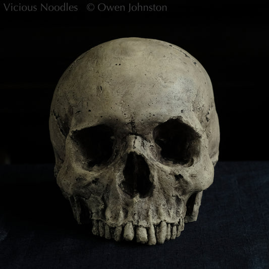 Human skull replica without jaw, life size, warm ivory bone colour with dark weathering, finished with lacquer.
