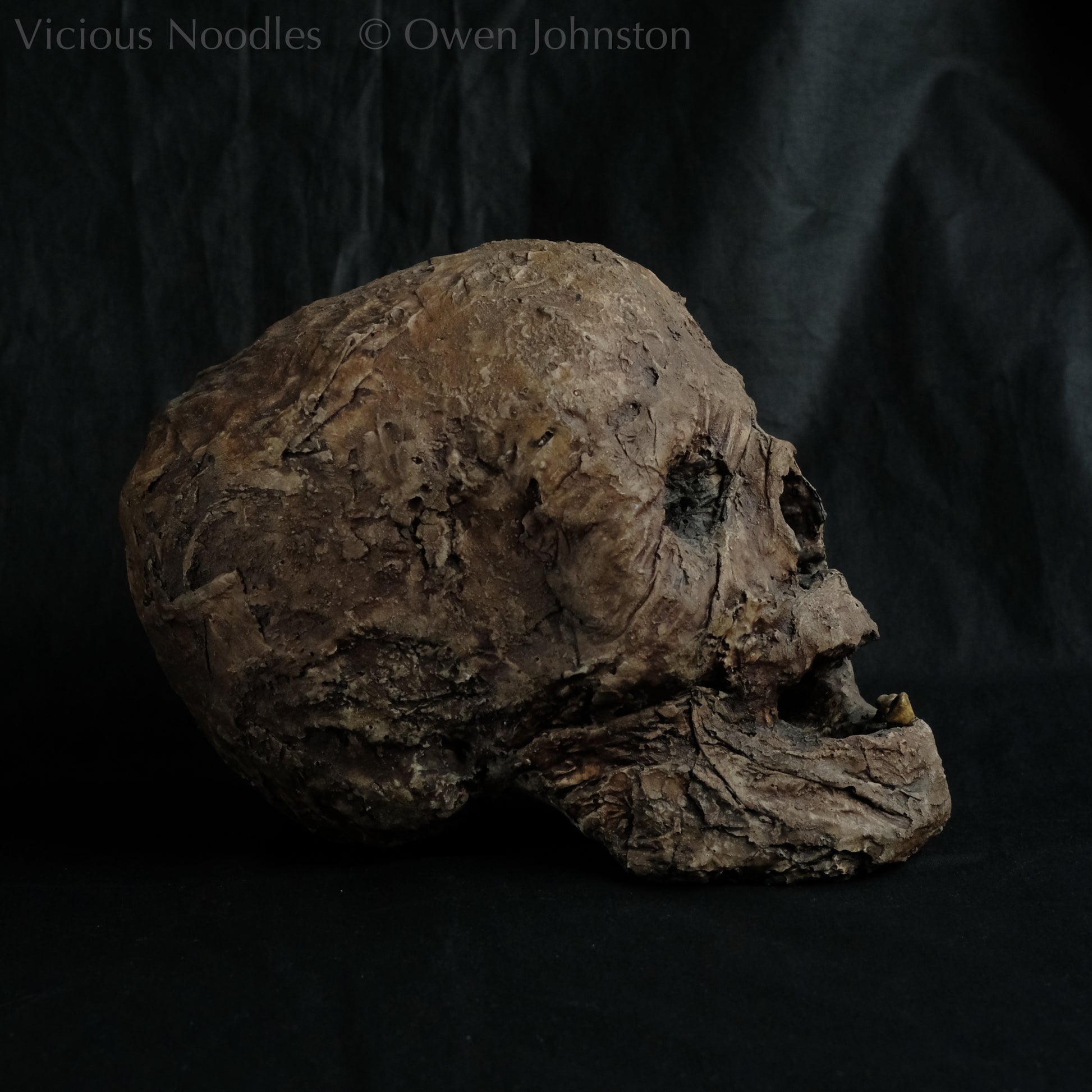 Replica mummified head, life size. It looks decomposed, the nose is missing and one eye socket is empty revealing the skull beneath, the mouth is gaping open to reveal two remaining teeth. It is painted to look ancient and realistic in various shades of brown.