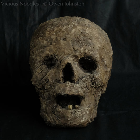 Replica mummified head, life size. It looks decomposed, the nose is missing and one eye socket is empty revealing the skull beneath, the mouth is gaping open to reveal two remaining teeth. It is painted to look ancient and realistic in various shades of brown.