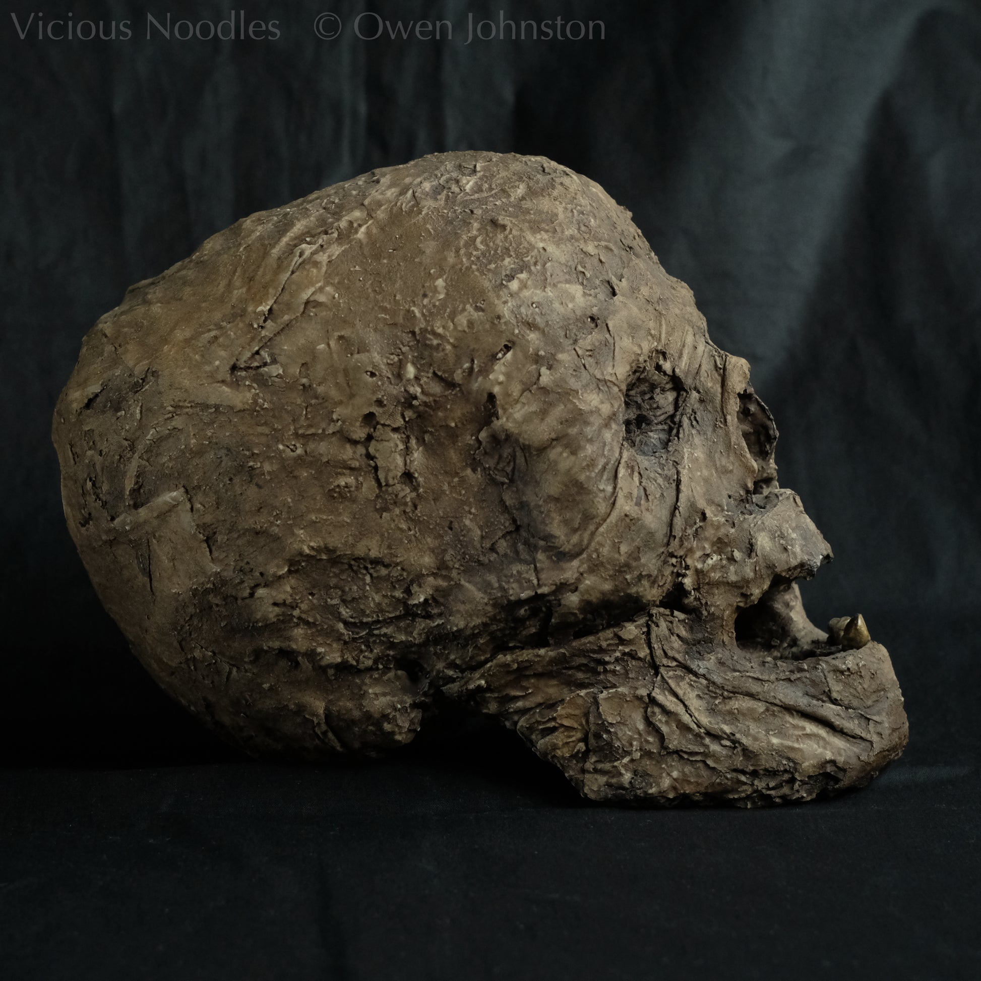 Replica mummified head, life size. It looks decomposed, the nose is missing and one eye socket is empty revealing the skull beneath, the mouth is gaping open to reveal two remaining teeth. It is painted to look ancient and realistic in various shades of brown.