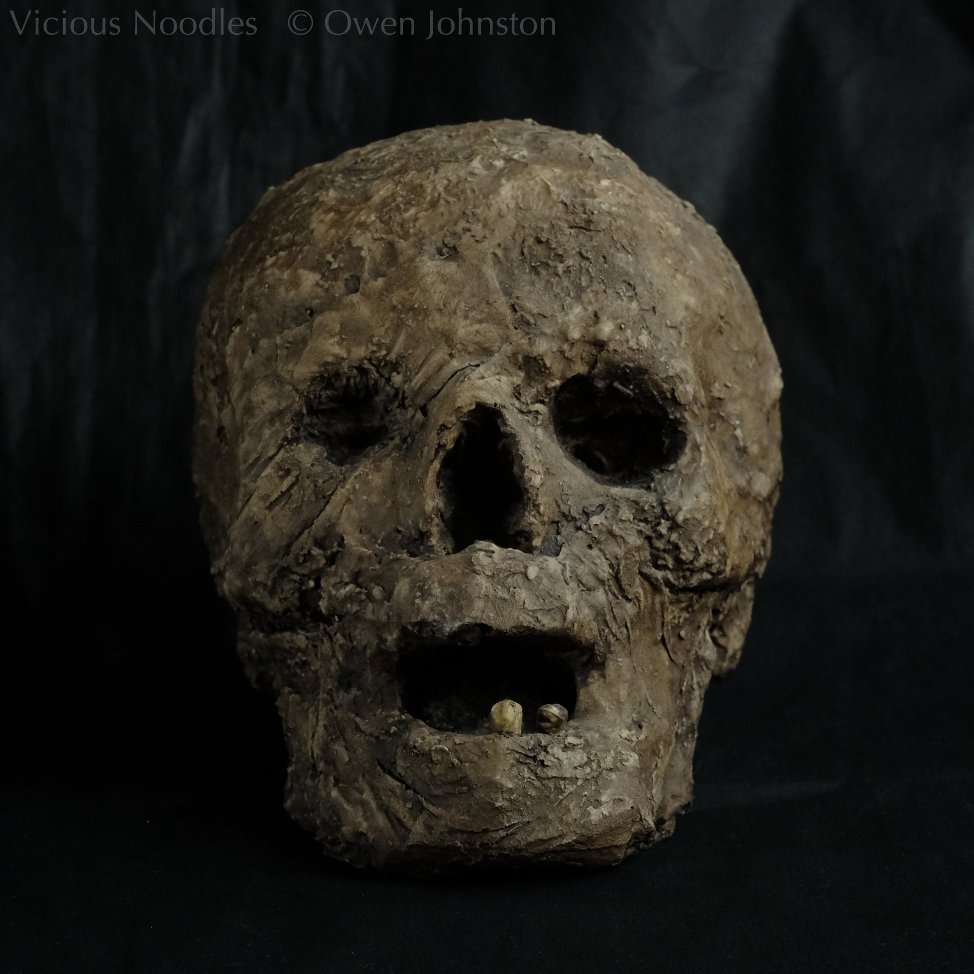Replica mummified head, life size. It looks decomposed, the nose is missing and one eye socket is empty revealing the skull beneath, the mouth is gaping open to reveal two remaining teeth. It is painted to look ancient and realistic in various shades of brown.