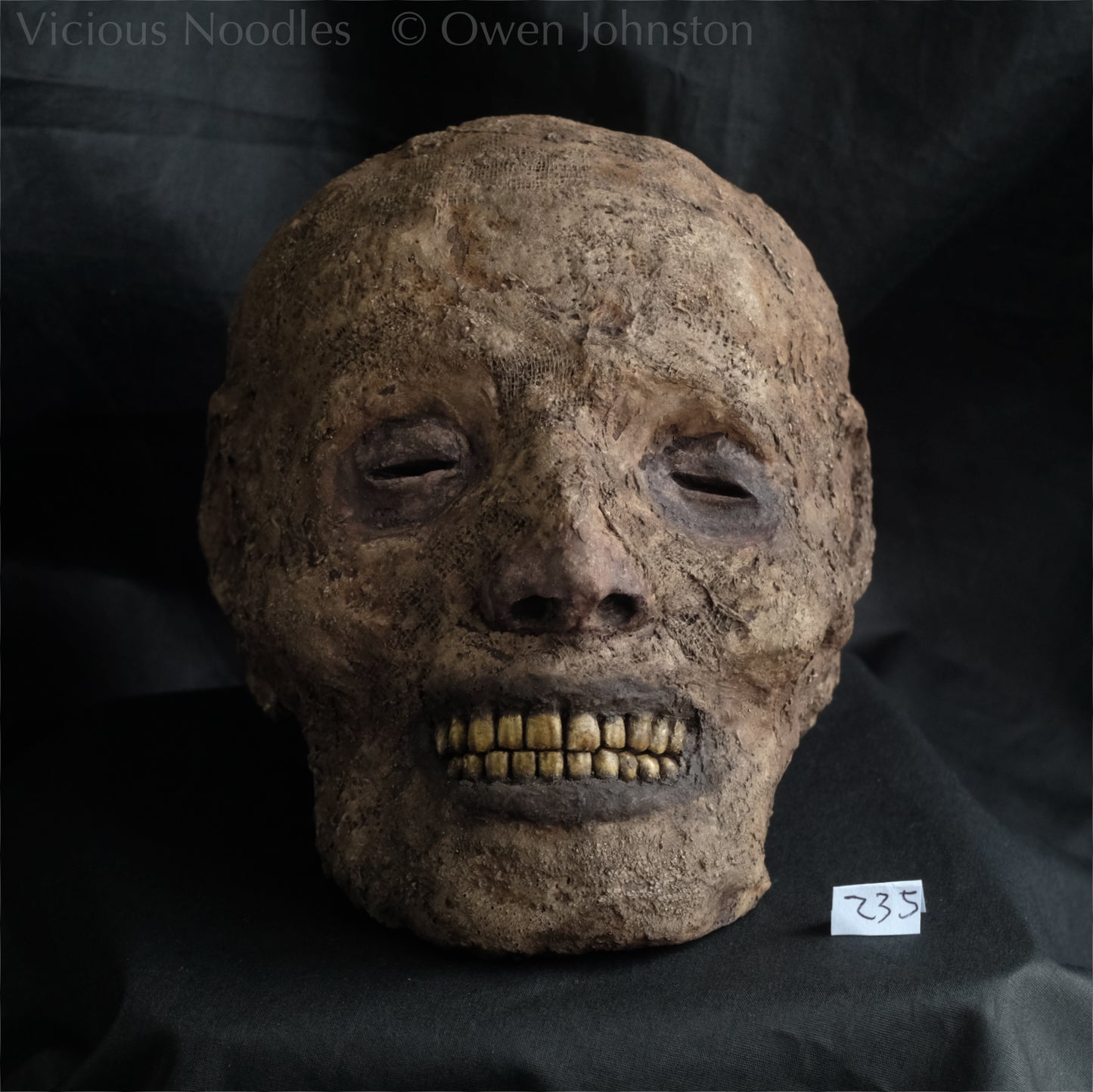 Replica mummified head