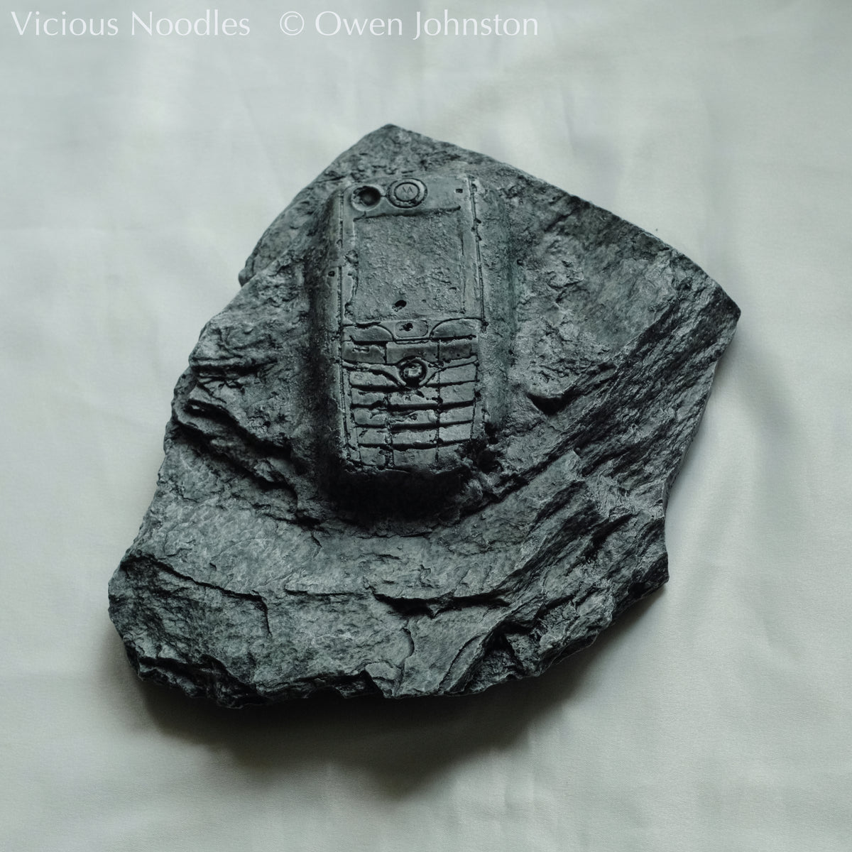 Mobile Phone Fossil