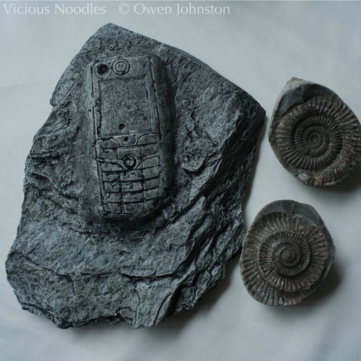 Mobile Phone Fossil