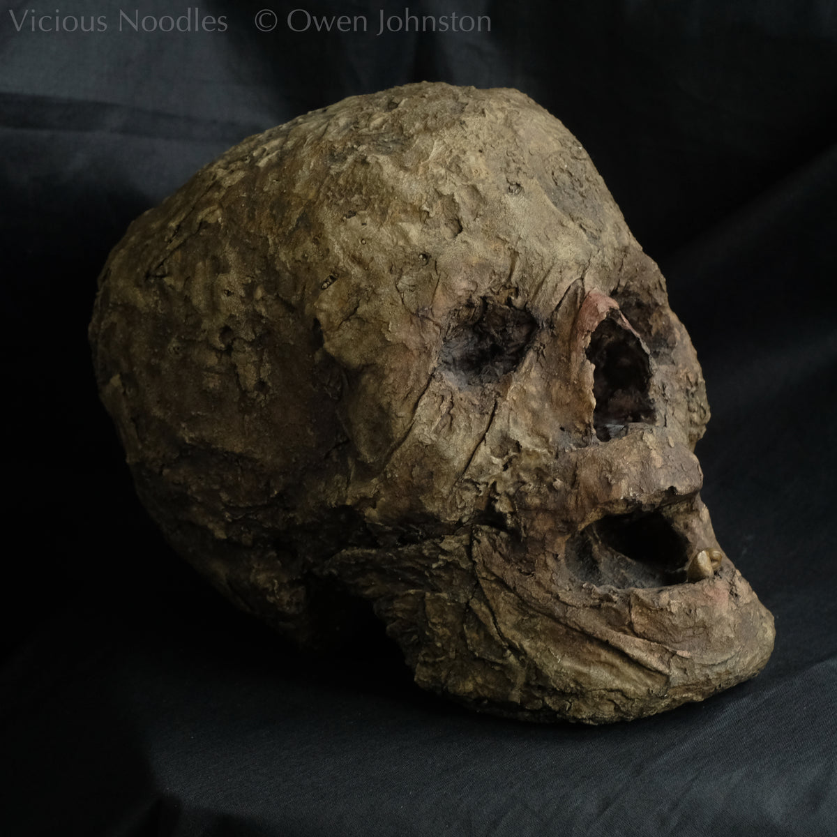 Replica mummified head