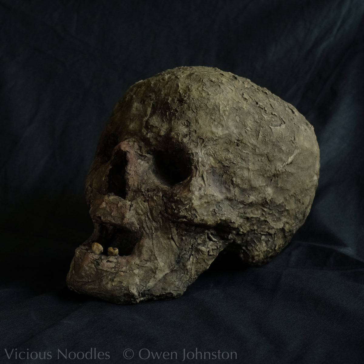 Replica mummified head