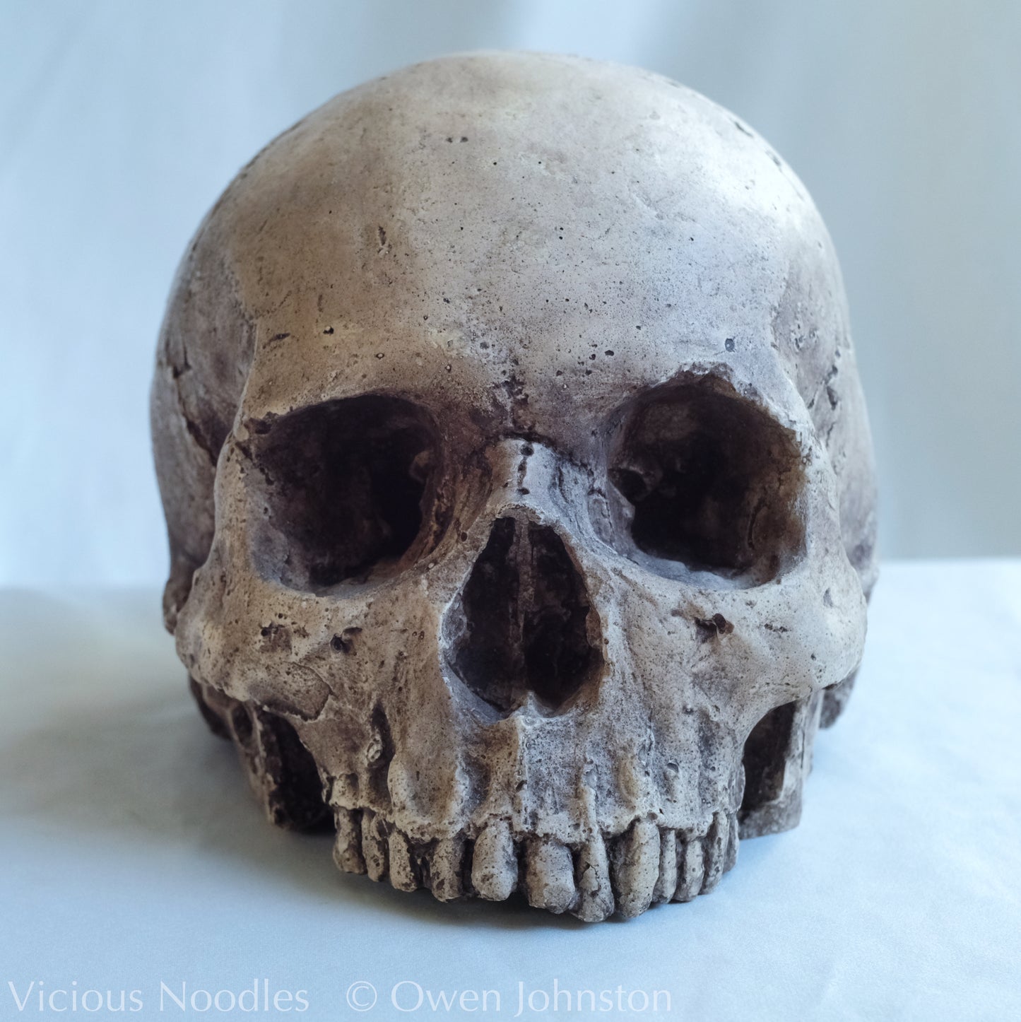 Human skull replica, lightly weathered natural finish
