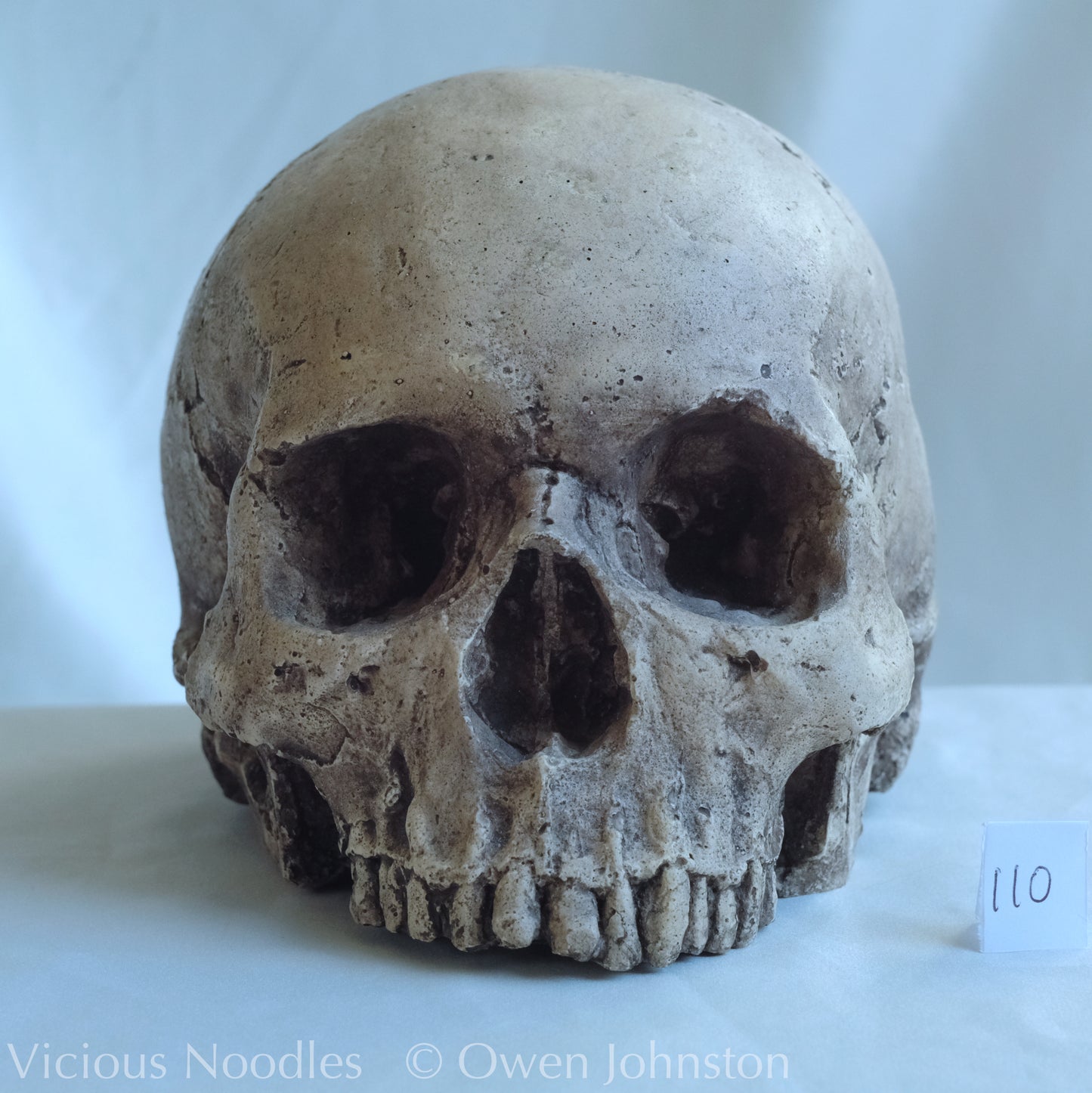 Human skull replica, lightly weathered natural finish