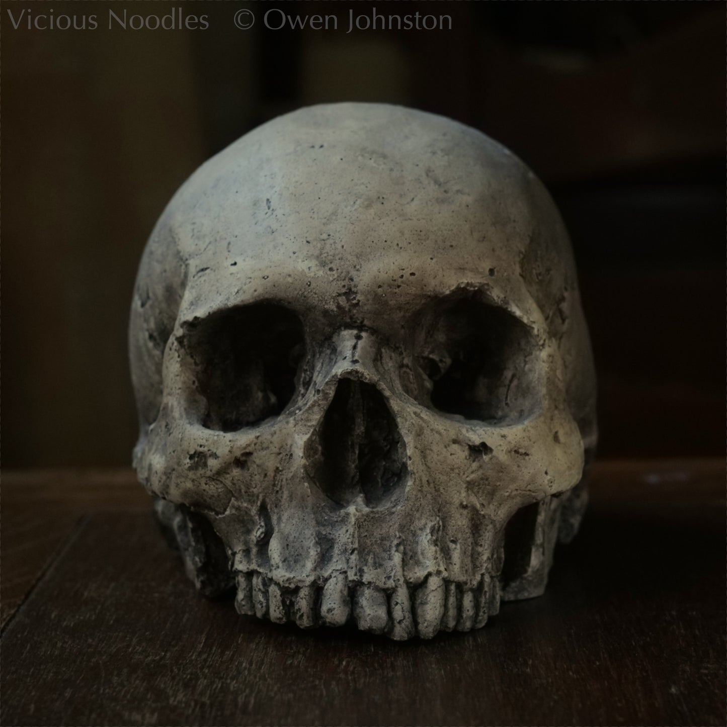 Human skull replica, lightly weathered natural finish